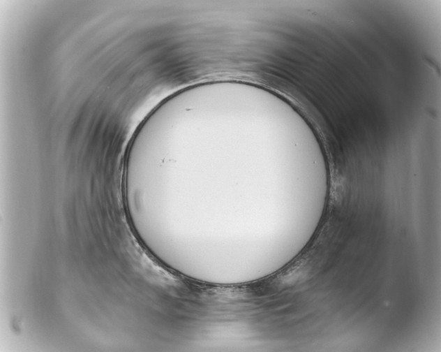 X0000103911102200810031206