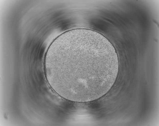 X0000103911104200810031206