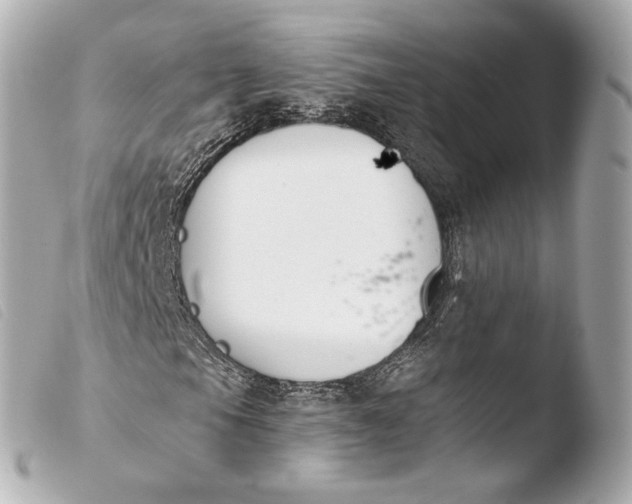 X0000103911105200810031206