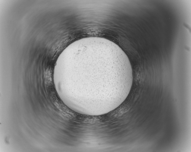 X0000103911106200810031206