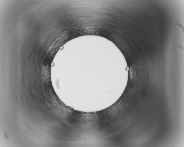 X0000103911107200810031206