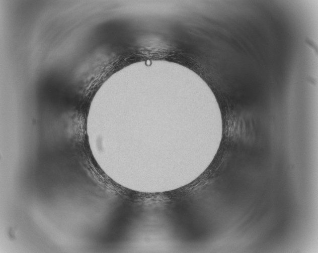 X0000103911108200810031206