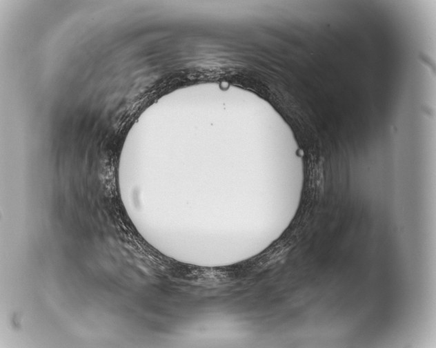 X0000103911109200810031206