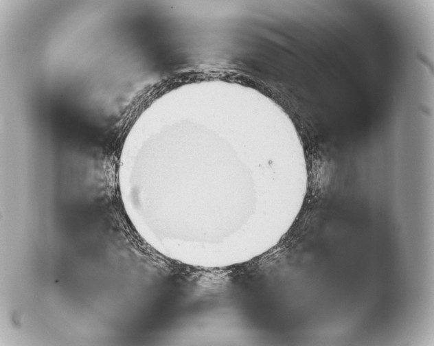 X0000103911110200810031206