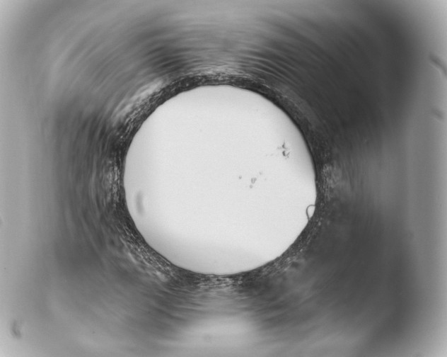 X0000103911111200810031206