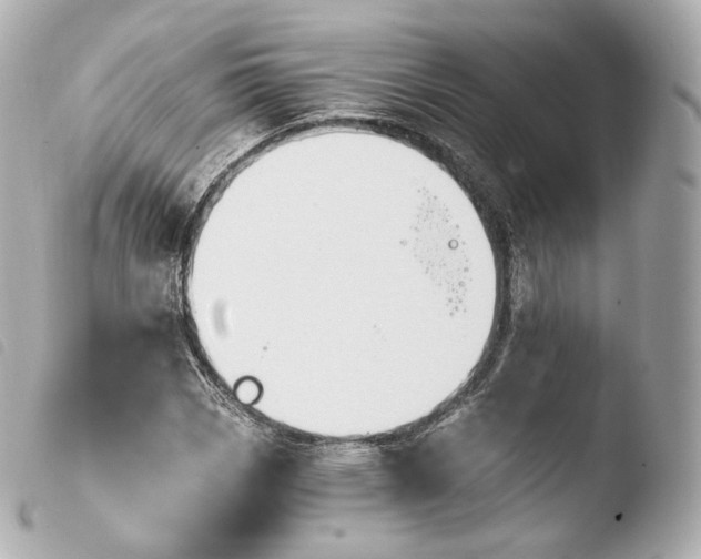 X0000103911113200810031206