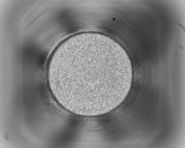 X0000103911116200810031206