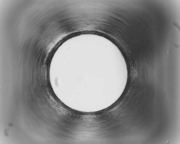 X0000103911118200810031206