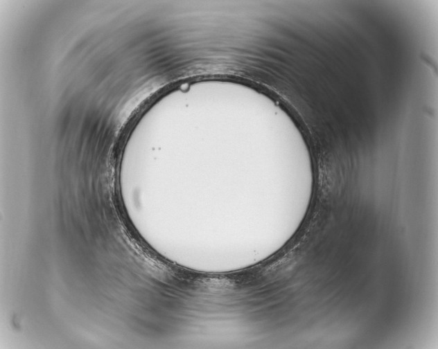 X0000103911119200810031206