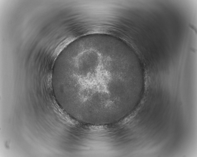 X0000103911121200810031206