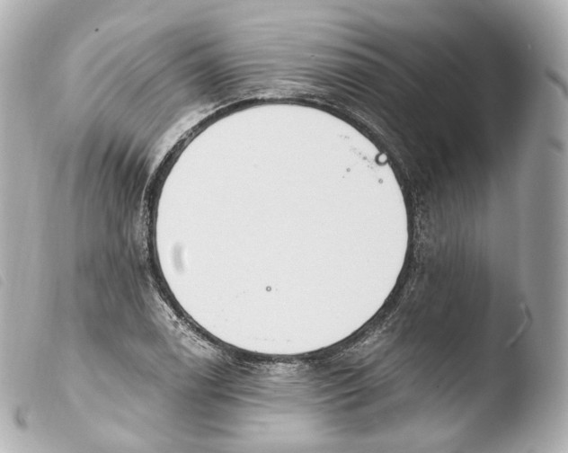 X0000103911122200810031206