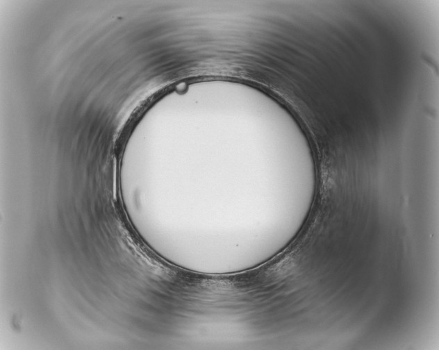 X0000103911123200810031206