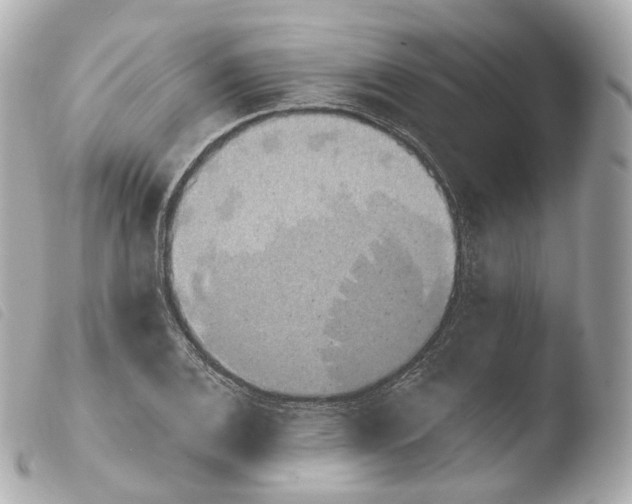 X0000103911124200810031206