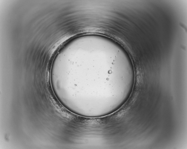 X0000103911125200810031206