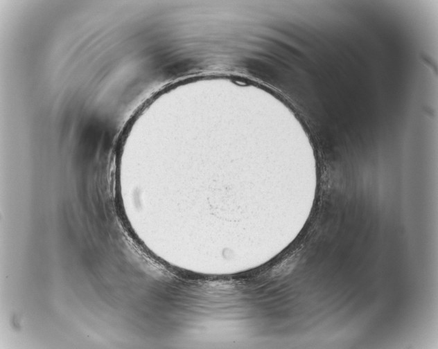 X0000103911126200810031206