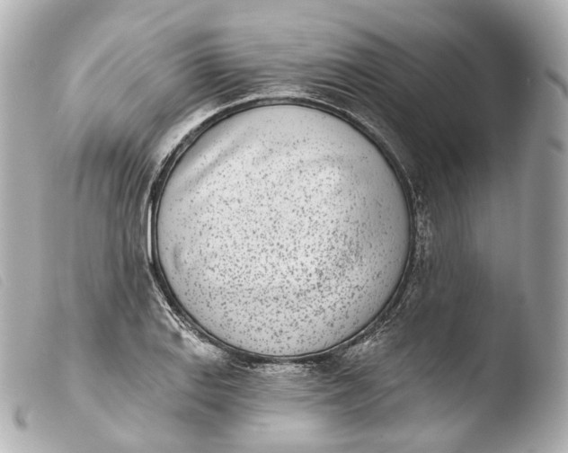 X0000103911127200810031206