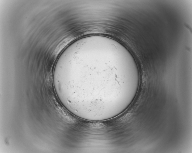 X0000103911129200810031206