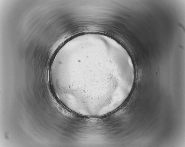 X0000103911130200810031206