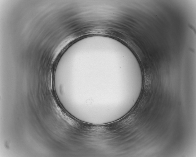 X0000103911131200810031206