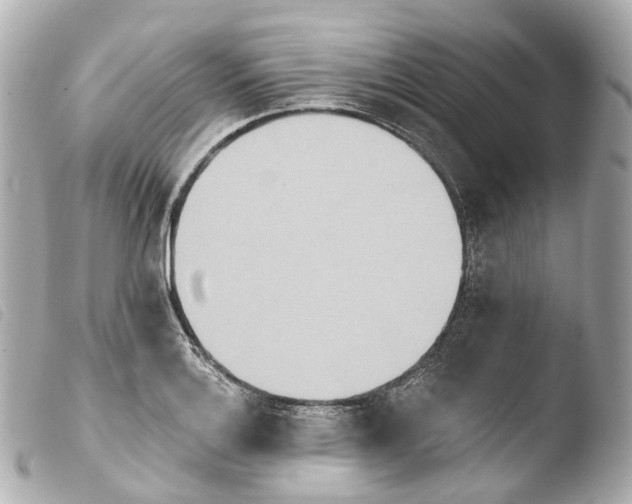 X0000103911132200810031206