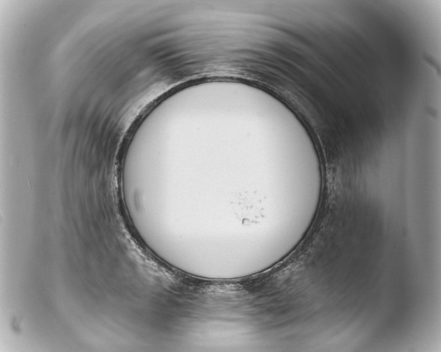 X0000103911133200810031206