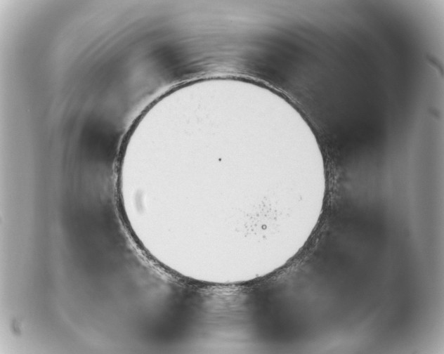 X0000103911134200810031206