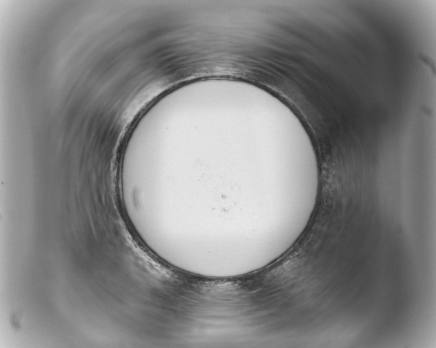 X0000103911135200810031206
