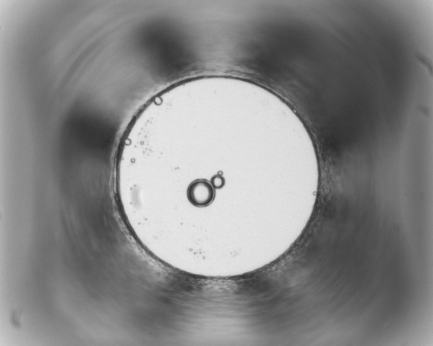 X0000103911136200810031206