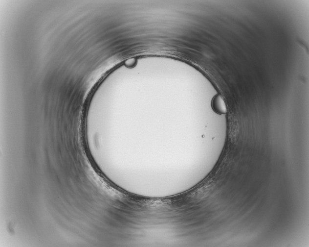 X0000103911139200810031206