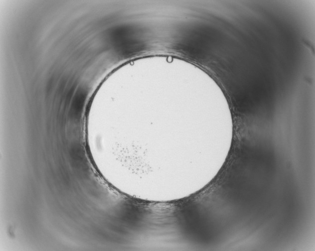 X0000103911140200810031206