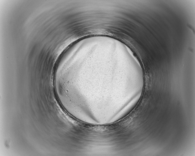 X0000103911141200810031206