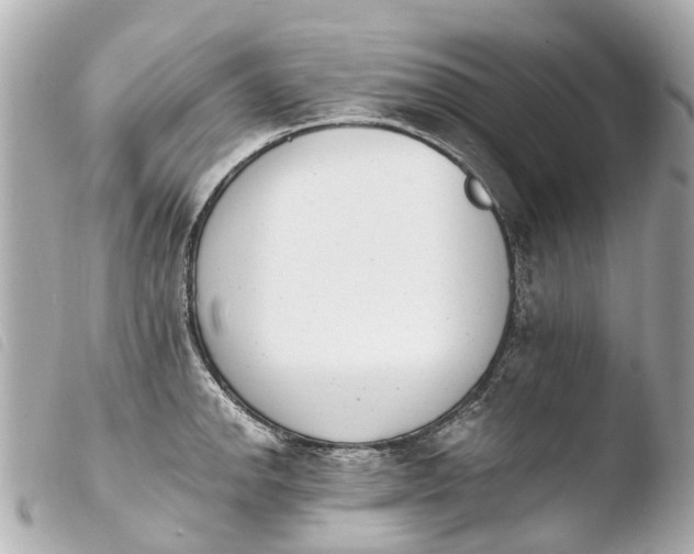 X0000103911142200810031206