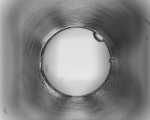X0000103911143200810031206