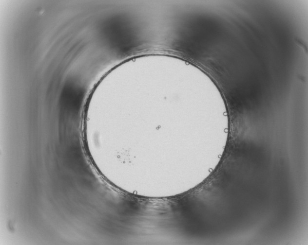 X0000103911144200810031206