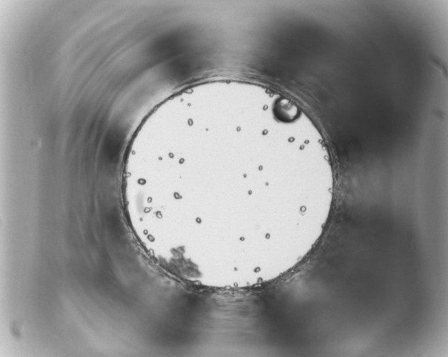 X0000103911146200810031206
