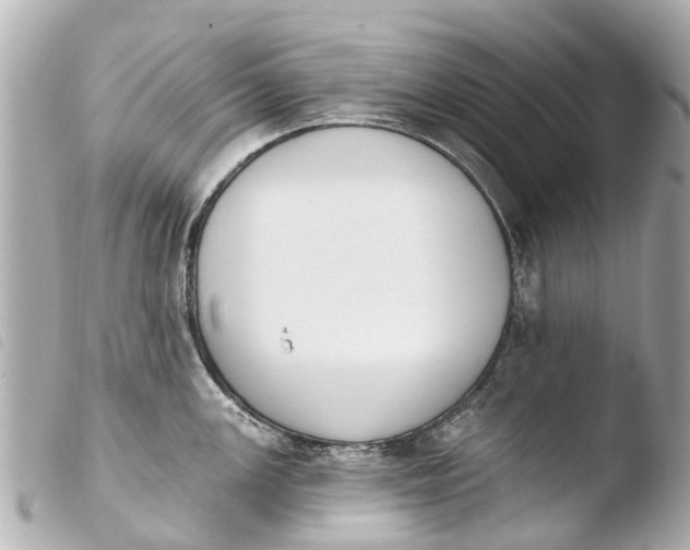 X0000103911147200810031206