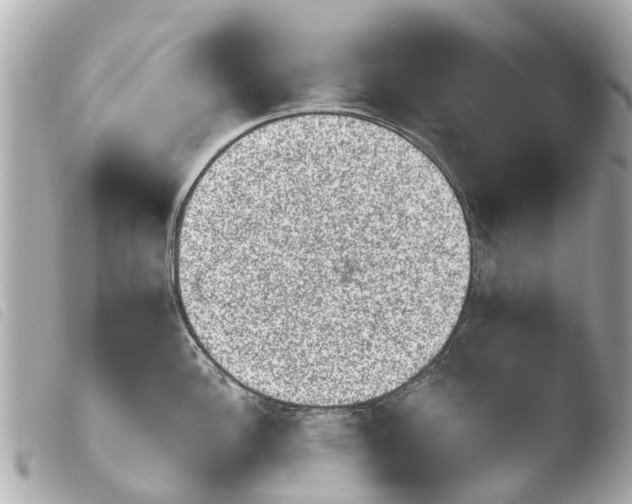 X0000103911148200810031206