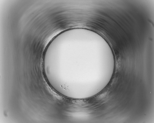 X0000103911149200810031206