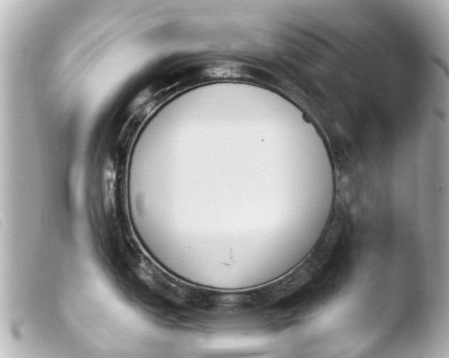 X0000103911151200810031206