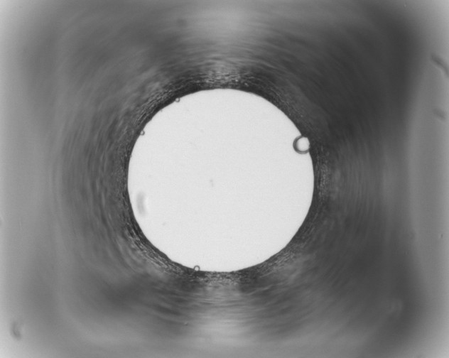 X0000103911153200810031206