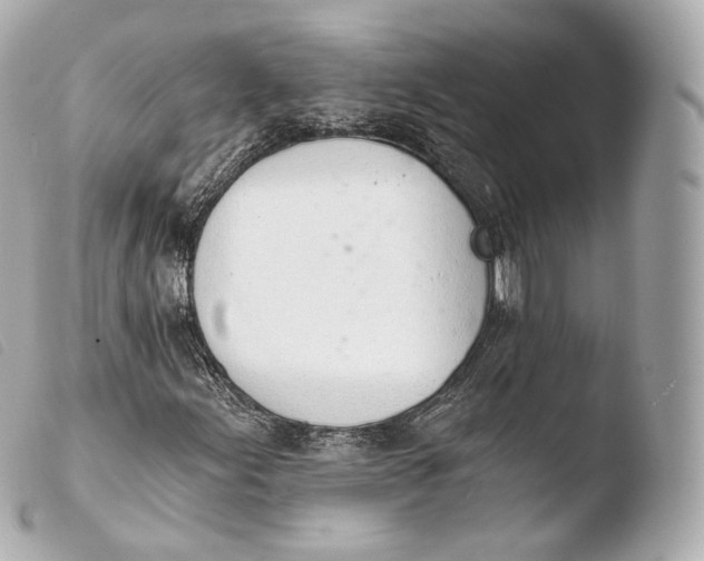 X0000103911155200810031206