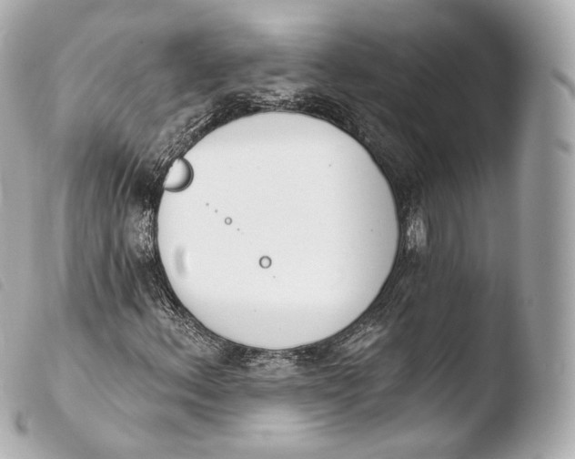 X0000103911156200810031206