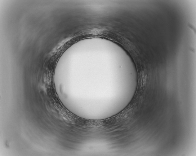 X0000103911158200810031206