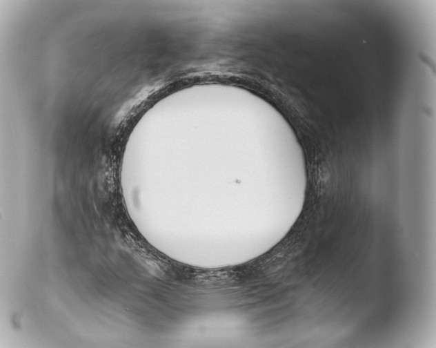 X0000103911159200810031206