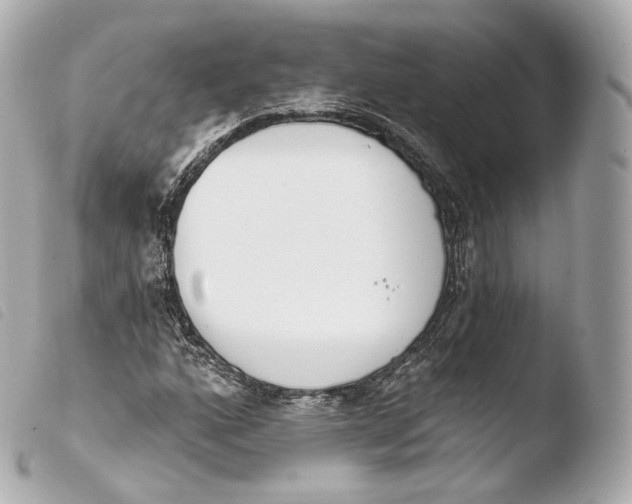 X0000103911160200810031206