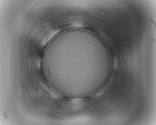 X0000103911161200810031206
