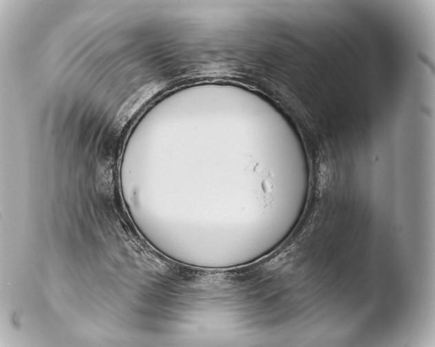 X0000103911162200810031206