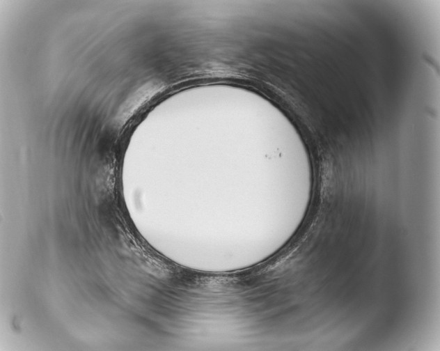 X0000103911163200810031206