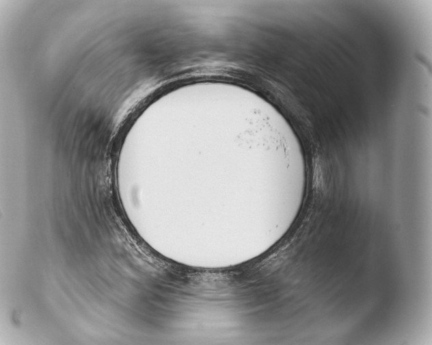 X0000103911164200810031206