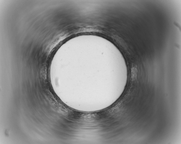X0000103911165200810031206